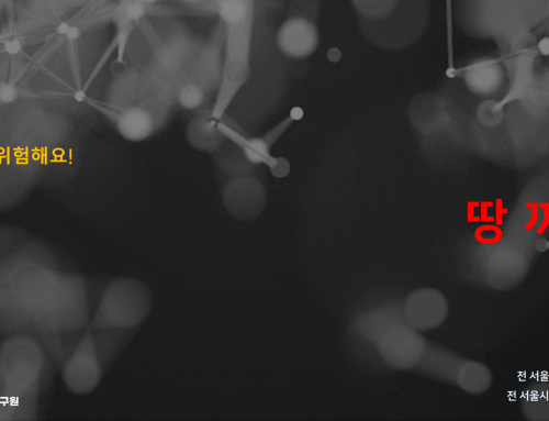 2025년 땅꺼짐 특집